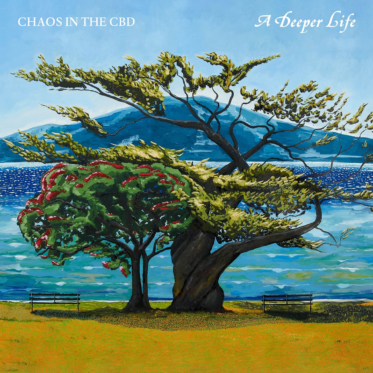 Chaos in the CBD — A Deeper Life cover artwork