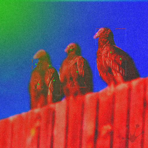 Funk Tribu — Hold On cover artwork