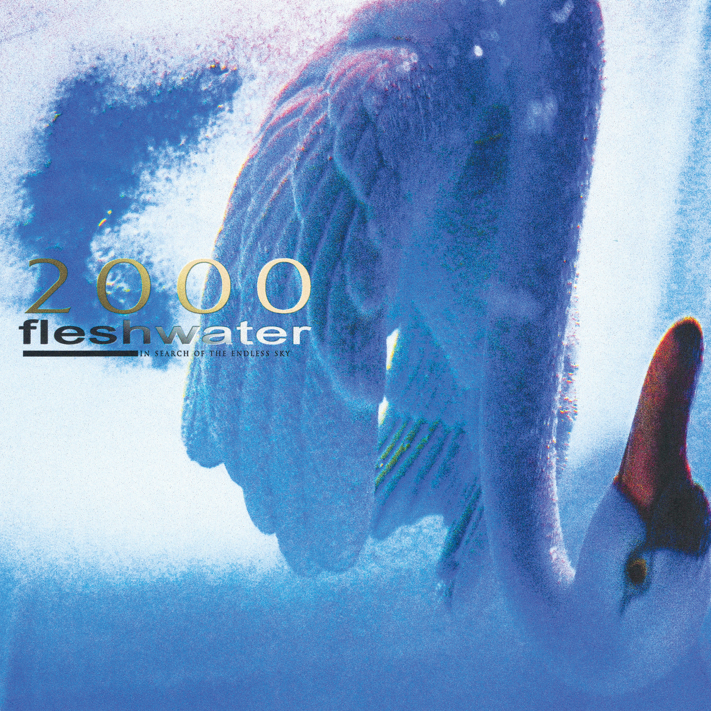 Fleshwater — Jetpack cover artwork