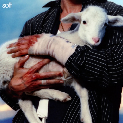 LANY Soft cover artwork