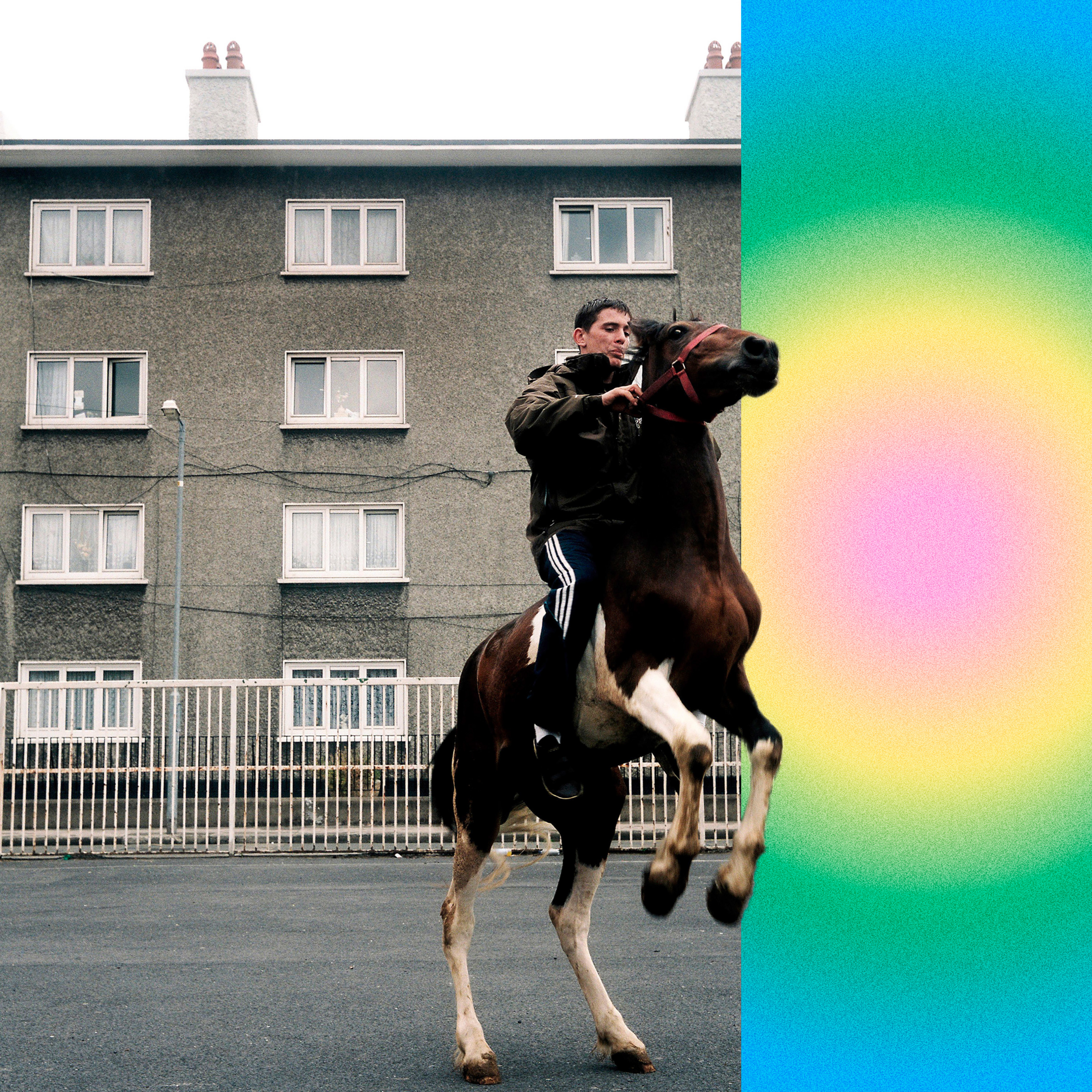 Honningbarna — Festen som aldri stopper cover artwork