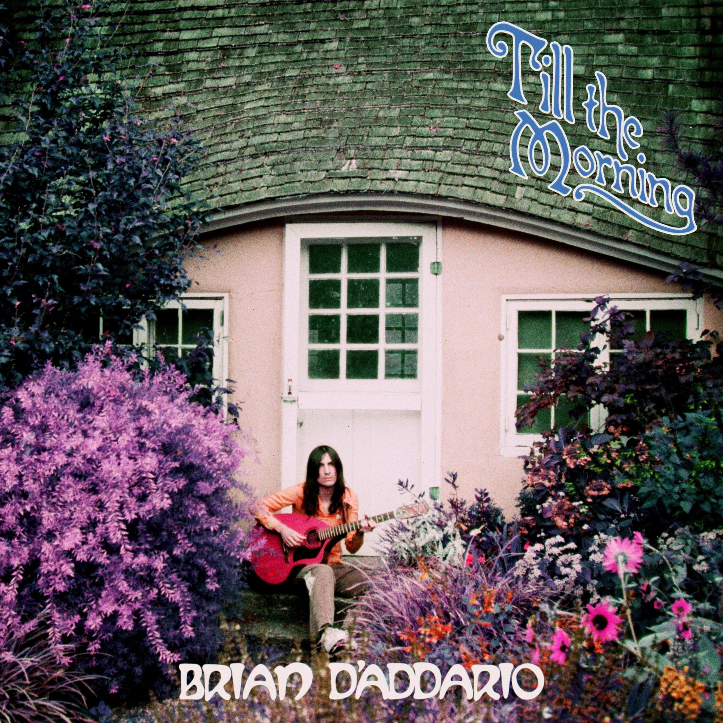 Brian D'Addario — Till the Morning cover artwork