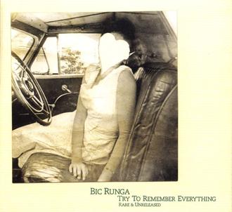 Bic Runga — Try To Remember Everything cover artwork