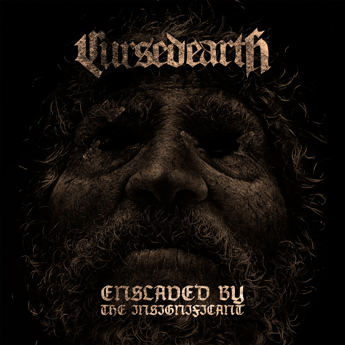 Cursed Earth Enslaved By The Insignificant cover artwork
