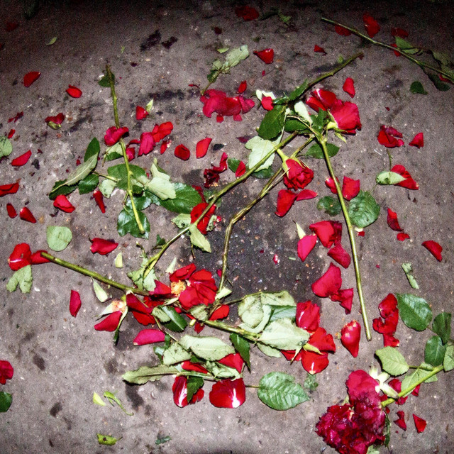 Lambrini Girls — Love cover artwork