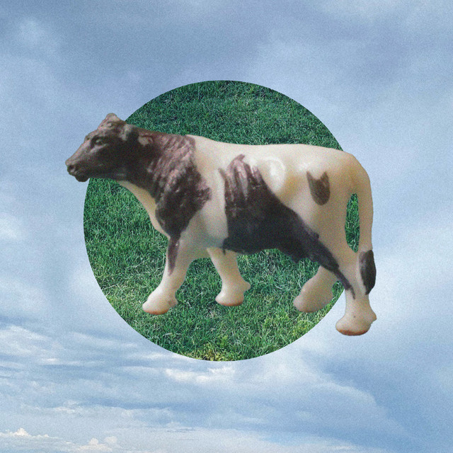 Sydney Sprague — Flat Circle cover artwork