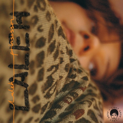 Laleh Prinsessor cover artwork