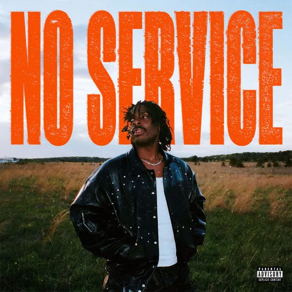 sosocamo no service cover artwork