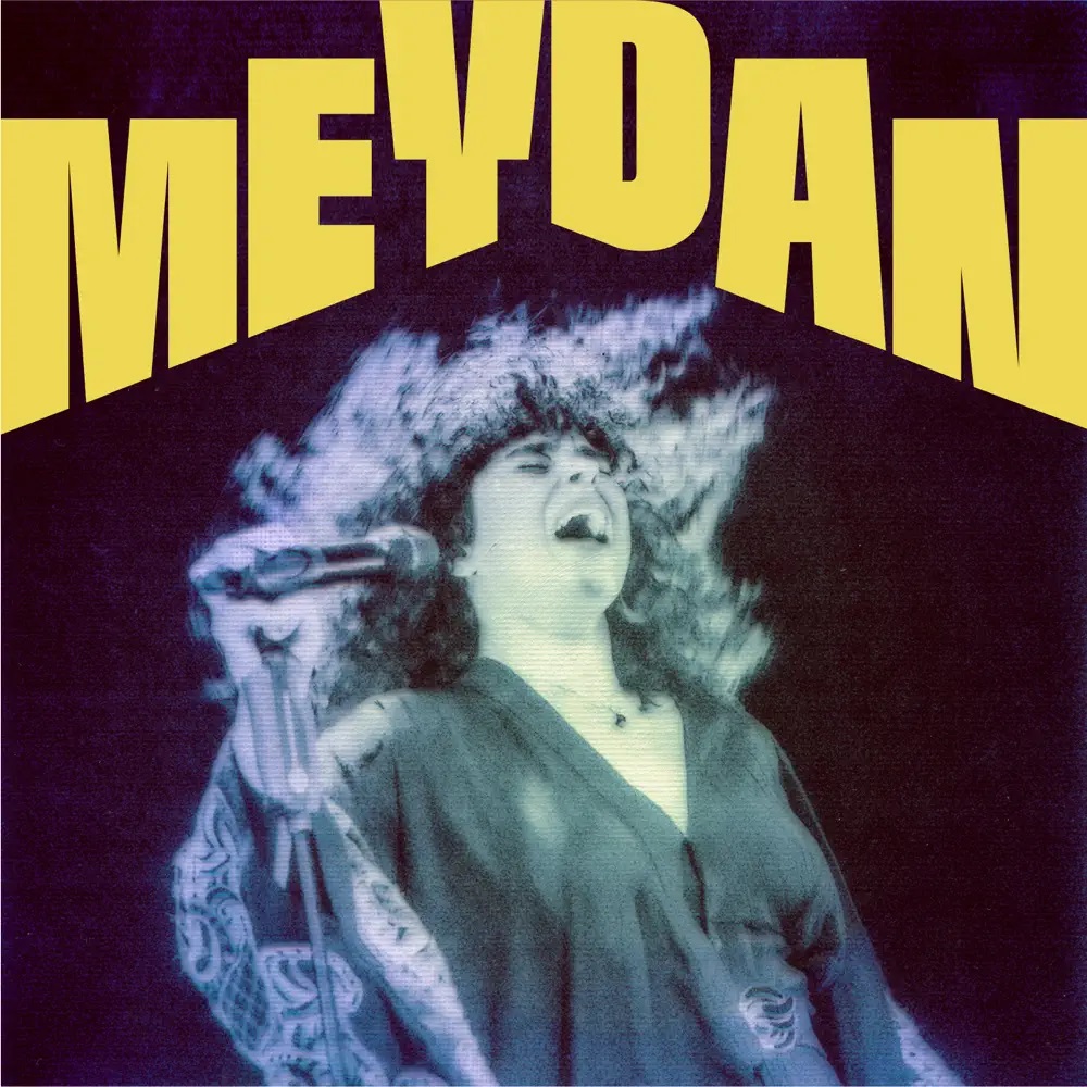 Meral Polat Meydan cover artwork