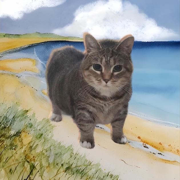 Uiia Cat — Blue Oiia cover artwork