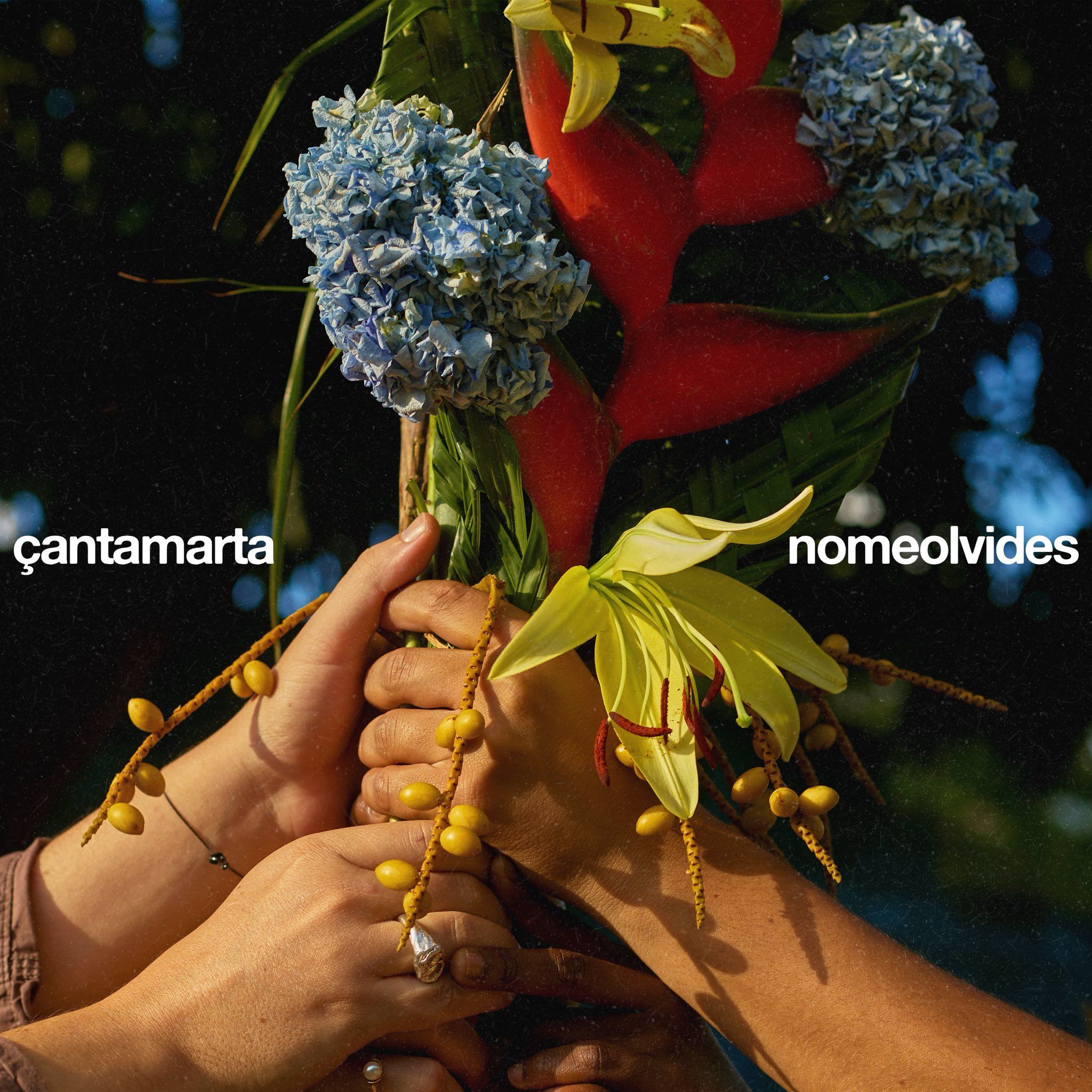 Çantamarta nomeolvides cover artwork