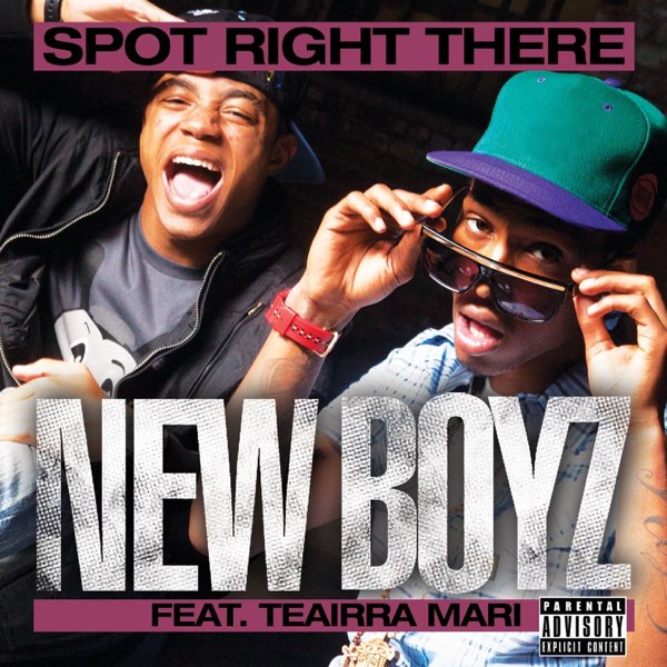 New Boyz featuring Teairra Marí — Spot Right There cover artwork