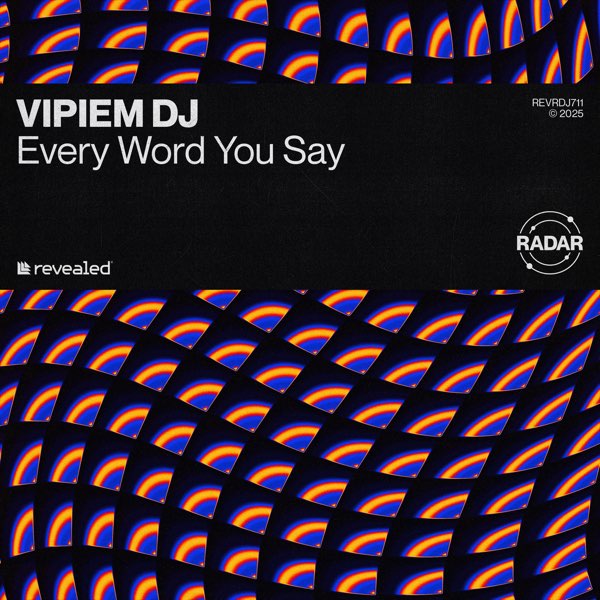 VIPIEM DJ Every Word You Say cover artwork
