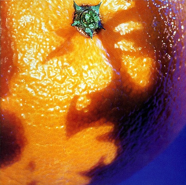 Phish A Picture Of Nectar cover artwork