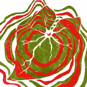 Hotline TNT Raspberry Moon cover artwork