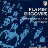 Flamin' Groovies — Shake Some Action cover artwork
