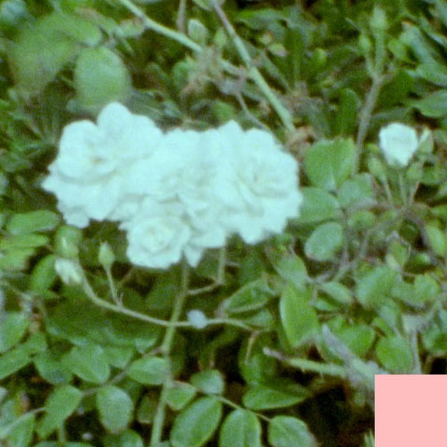 Common Souls — Jasmine cover artwork