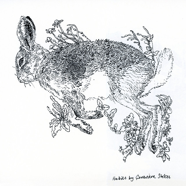 Genevieve Stokes — Habits cover artwork