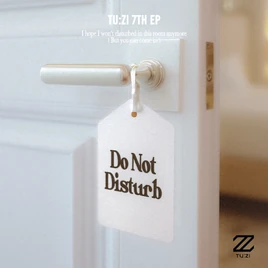 2Z Do Not Disturb cover artwork