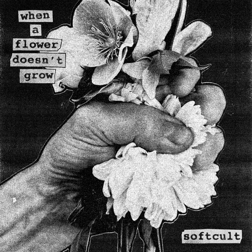 Softcult When A Flower Doesn't Grow cover artwork