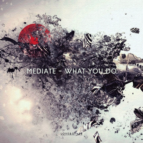 Mediate — What You Do cover artwork