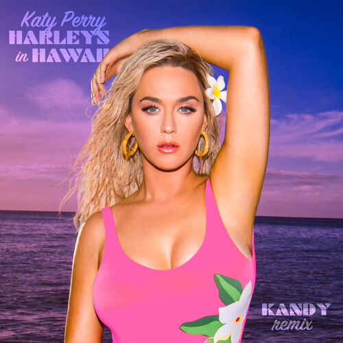 Katy Perry ft. featuring KANDY Harleys in Hawaii - KANDY Remix cover artwork