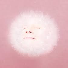 Juana Molina — Siestas ahí cover artwork