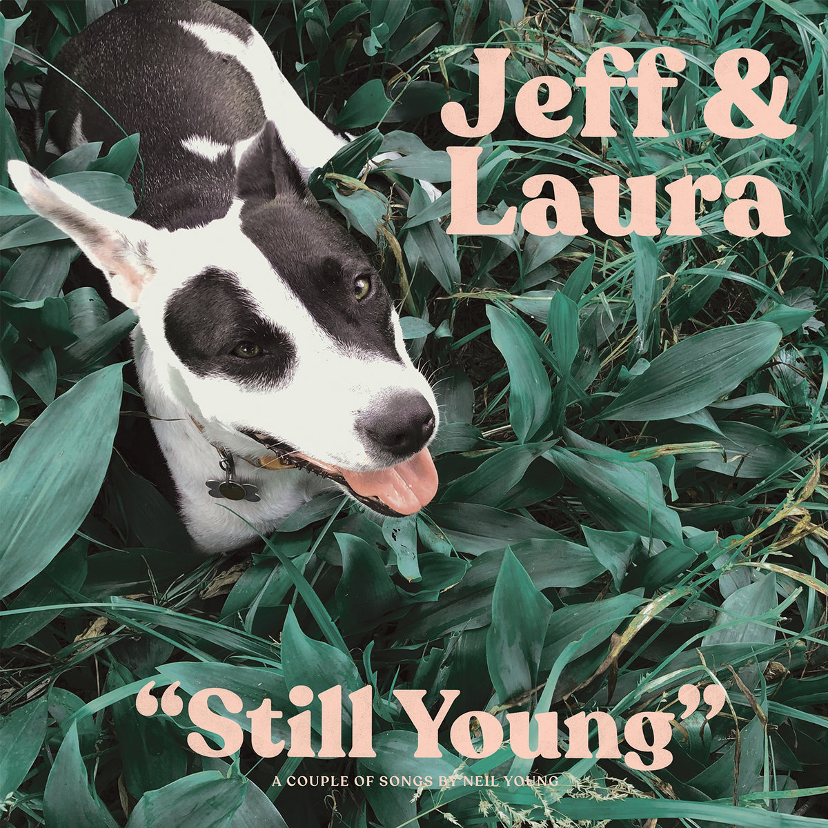 Jeff Rosenstock & Laura Stevenson Still Young cover artwork