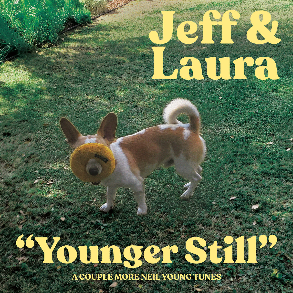Jeff Rosenstock & Laura Stevenson Younger Still cover artwork