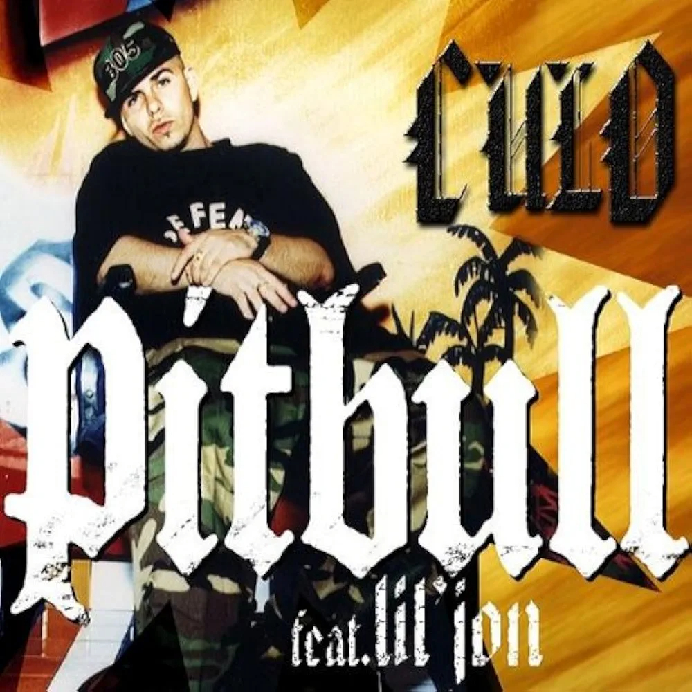 Pitbull featuring Lil Jon — Culo cover artwork