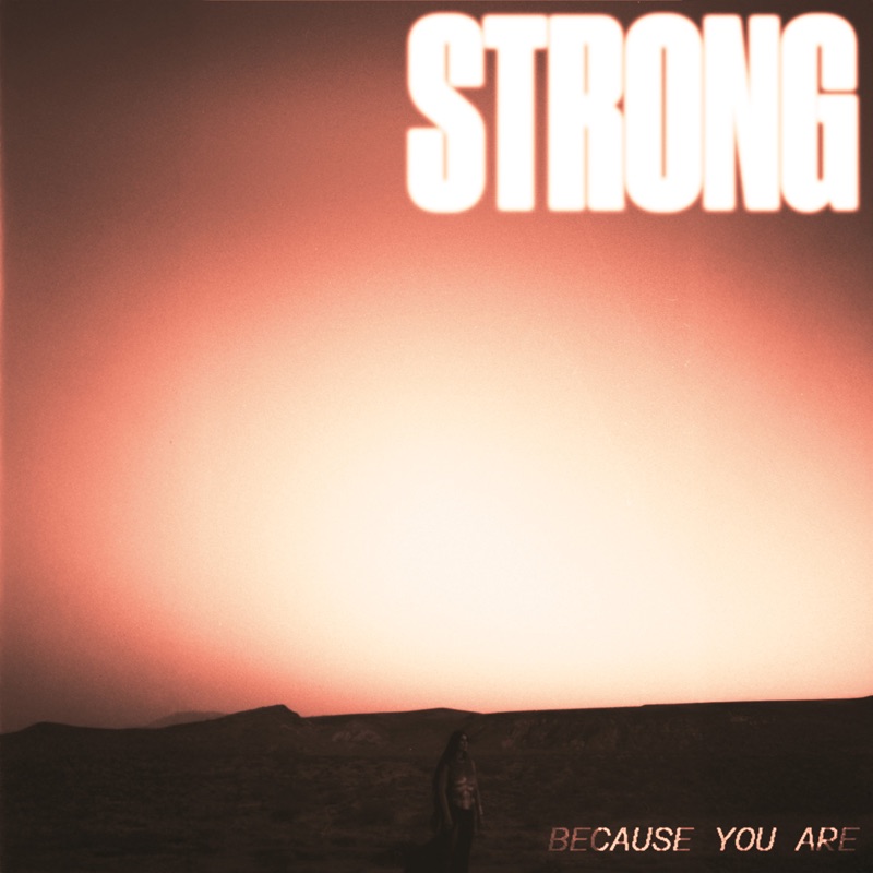 Sevdaliza — Strong Because You Are cover artwork