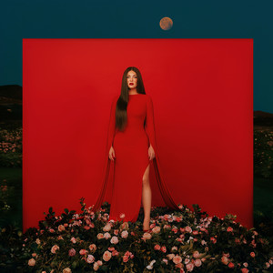 Janine Pain and Paradise cover artwork