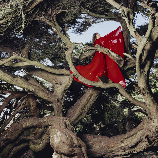 Hannah Frances Nested in Tangles cover artwork