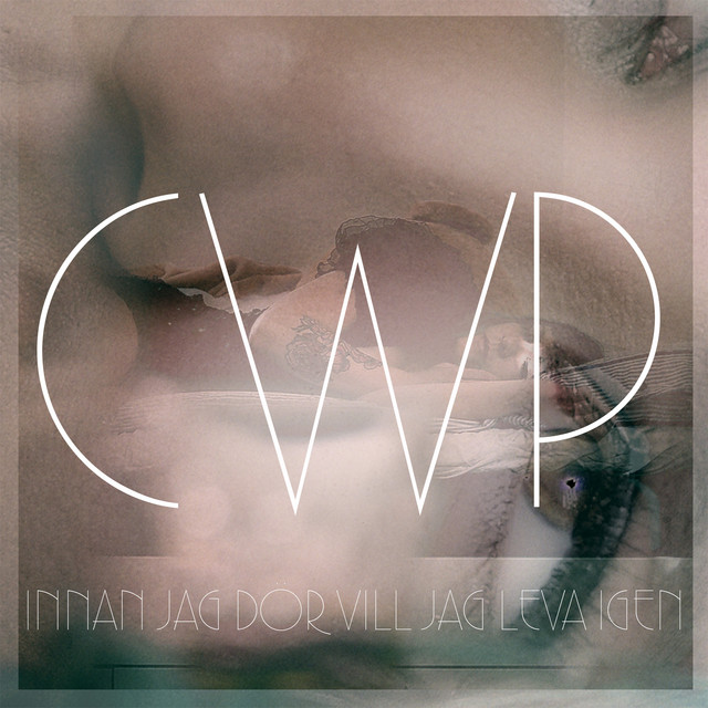 Carolina Wallin Pérez Håller rent cover artwork
