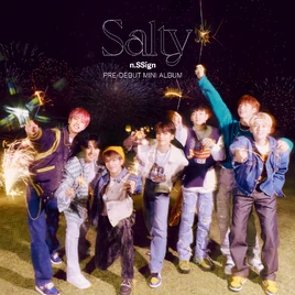 n.SSign Salty cover artwork