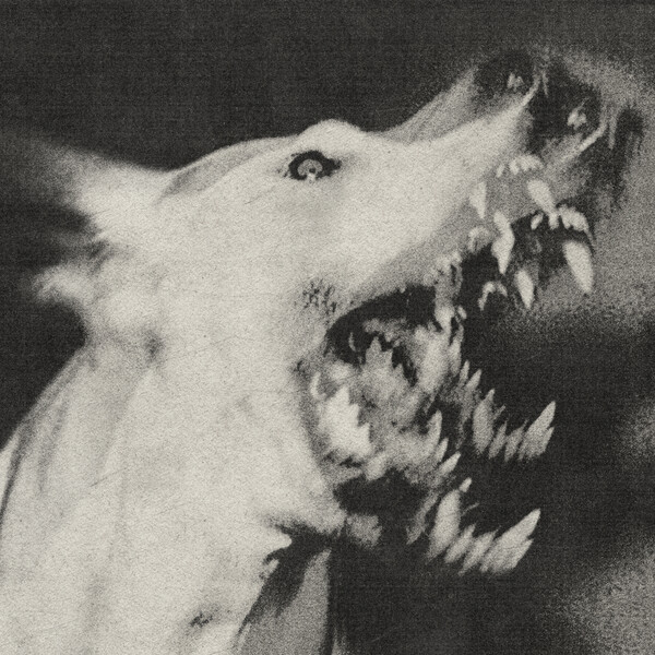 Ciśnienie — (Angry Noises) cover artwork