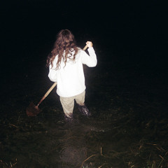 Searows — Dearly Missed cover artwork