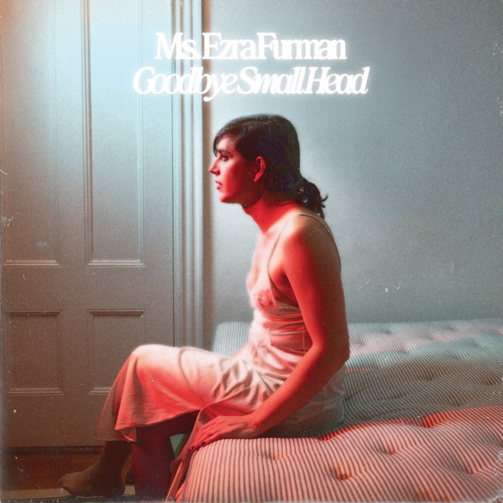 Ezra Furman Goodbye Small Head cover artwork