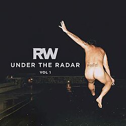 Robbie Williams H.E.S. cover artwork
