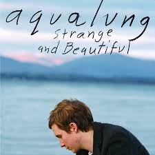 Aqualung — Strange &amp; Beautiful (I'll Put a Spell on You) cover artwork
