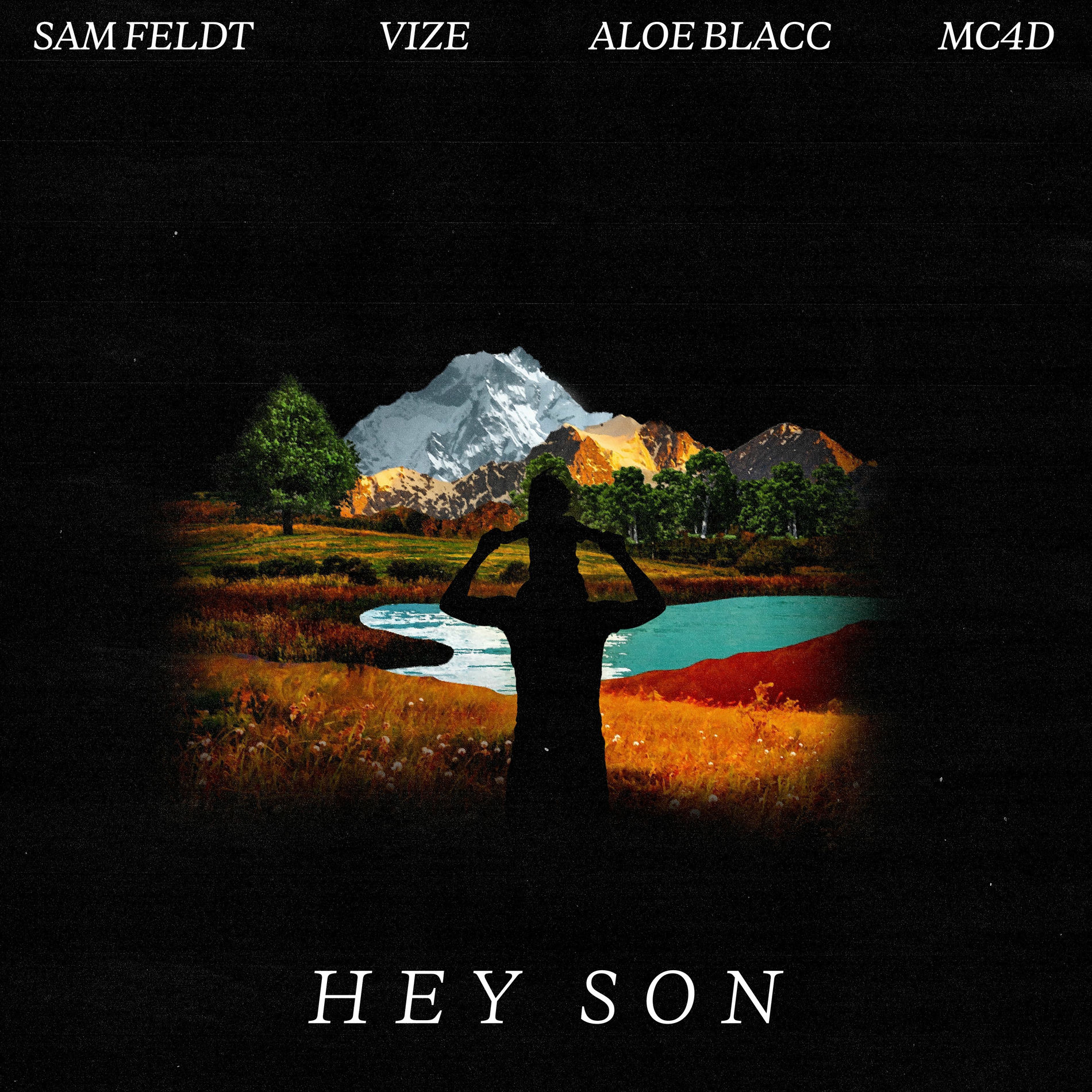 Sam Feldt, VIZE, MC4D, & Aloe Blacc — Hey Son cover artwork