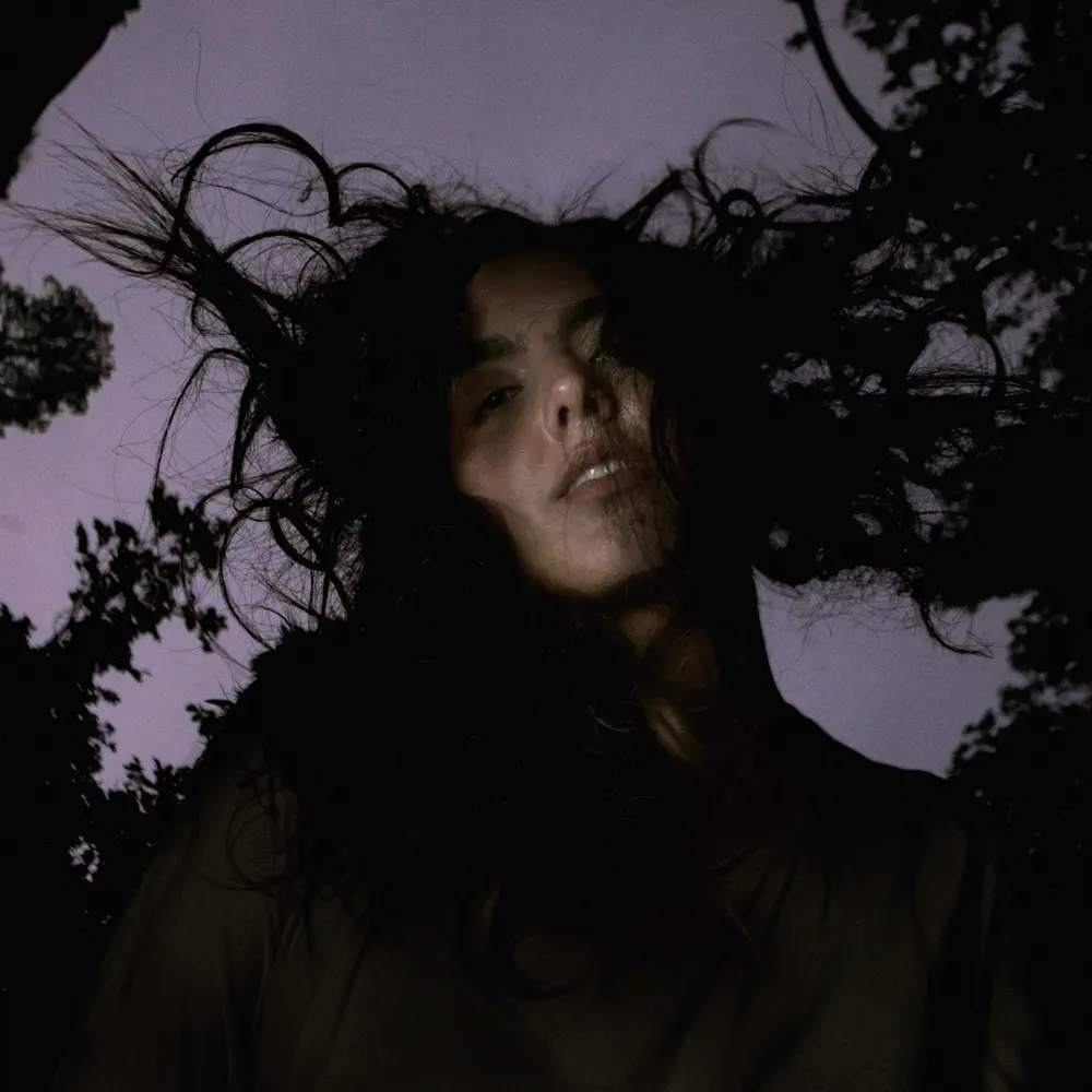 Júlia Colom Paradís cover artwork