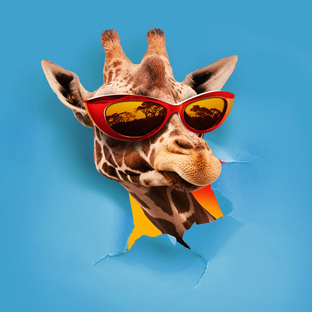 Takagi &amp; Ketra, OMI, & Giusy Ferreri — JAMBO cover artwork