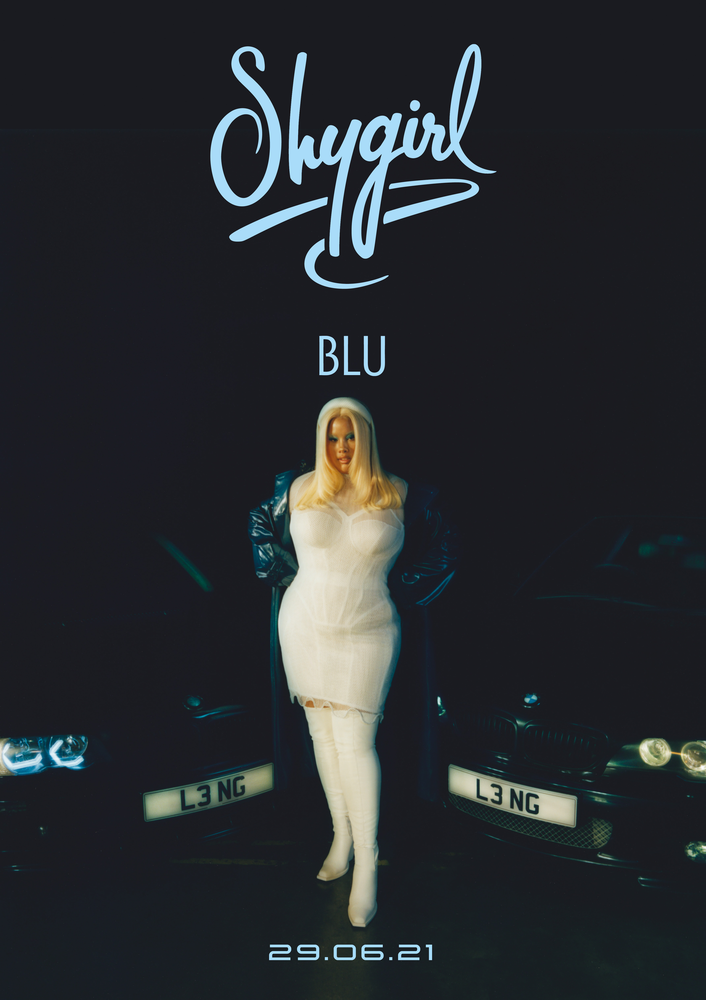 Shygirl — SLIME (BLU Remix) cover artwork
