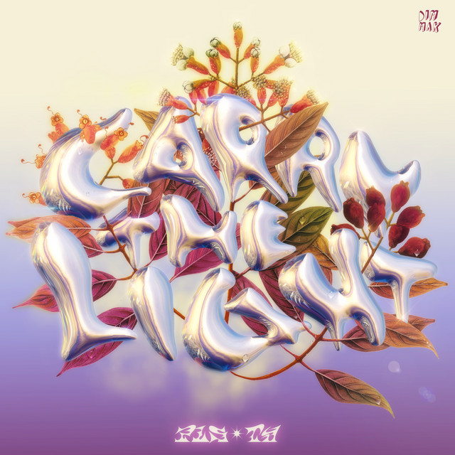 PLS&amp;TY & Nu-La — Carry the Light cover artwork