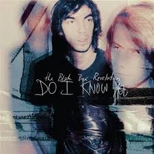 Black Box Revelation — Do I Know You cover artwork