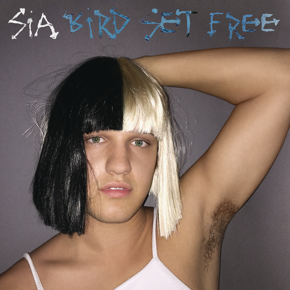 Sia — Bird Set Free cover artwork