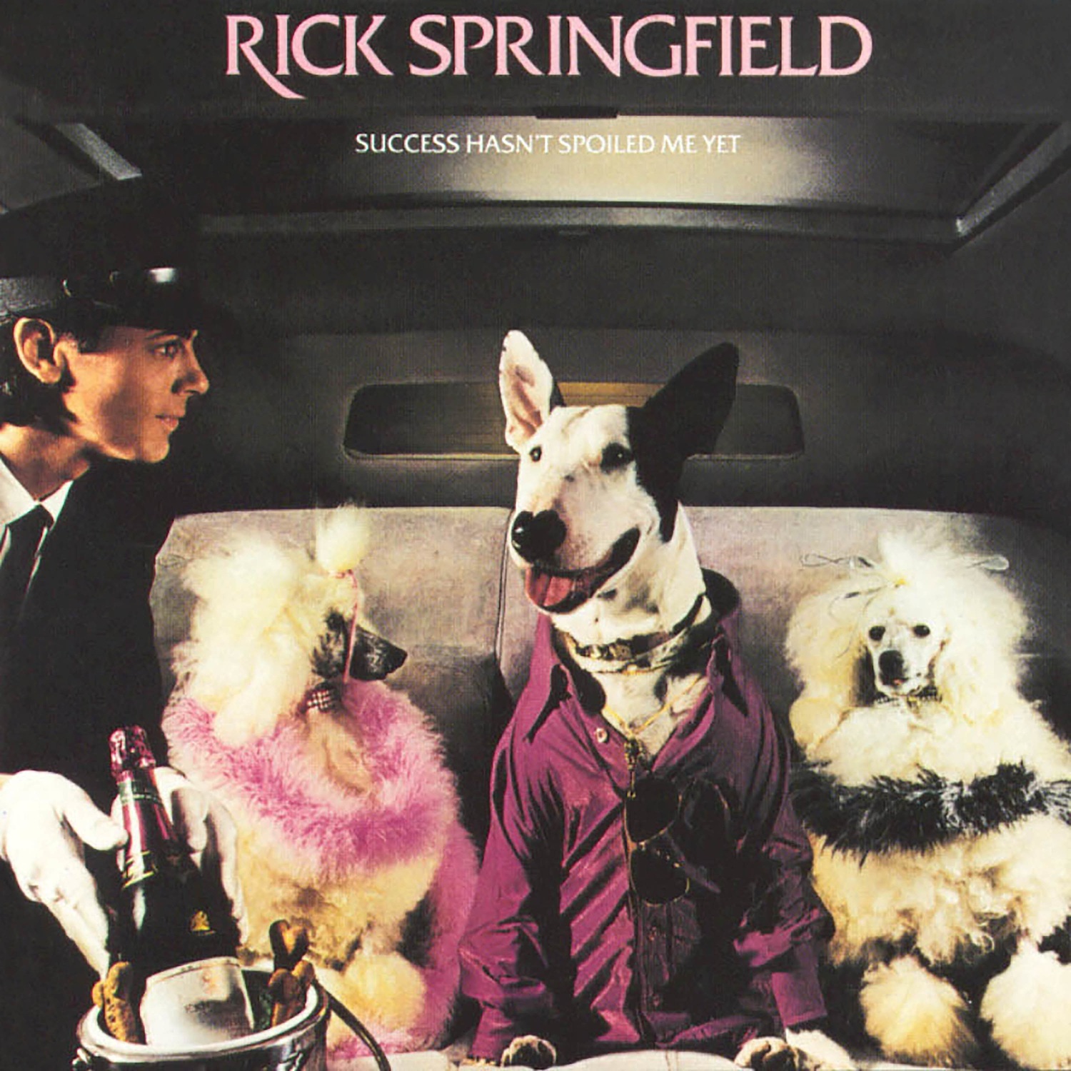 Rick Springfield Success Hasn't Spoiled Me Yet cover artwork