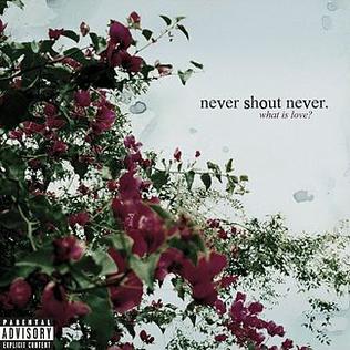 Never Shout Never Sacrilegious cover artwork