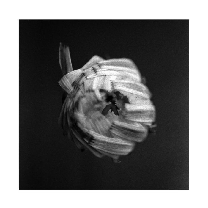 A Swarm of the Sun An Empire cover artwork